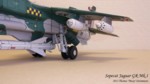 Sepecat Jaguar Fly  Nr. 44 (19).JPG

95,41 KB 
1365 x 768 
15.10.2012

